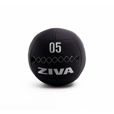 ZIVA Premium Wall Balls